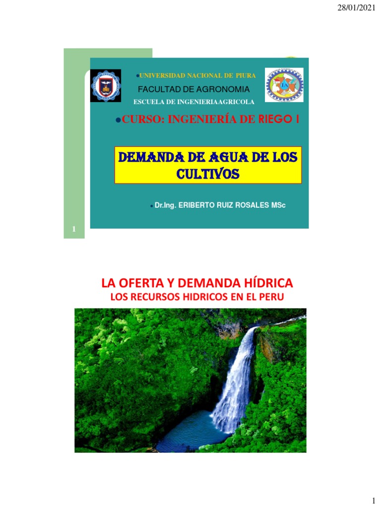 Demanda de Agua en Cultivos Agrícolas | PDF | Precipitación | Riego