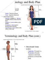 Anatomical Position: - Other Body Positions