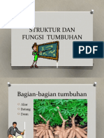 Struktur Dan Fungsi Tubuh Tumbuhan