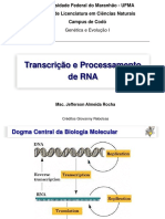 Transcricao e Processamento Do RNA