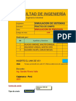 Practica de Campo - Simulacion de Sistemas