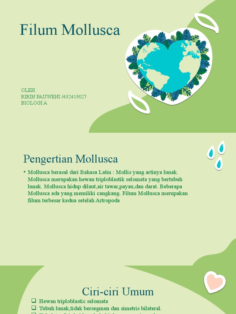 Ciri Umum Filum Mollusca | PDF