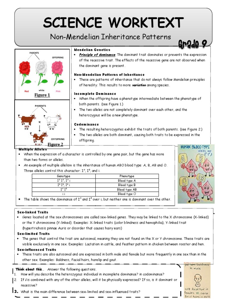 Non-Mendelian Inheritance Guide | PDF | Dominance (Genetics ...