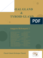 TUGAS 1 - KELOMPOK 2 - Pineal Glands and Thyroid Glands - D4 Akupunktur