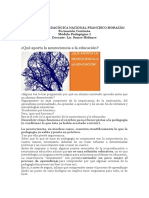 Qué Aporta La Neurociencia A La Educación