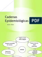 Cadenas Epidemiologicas