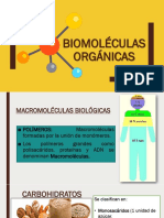 Biomoléculas Orgánicas UPN