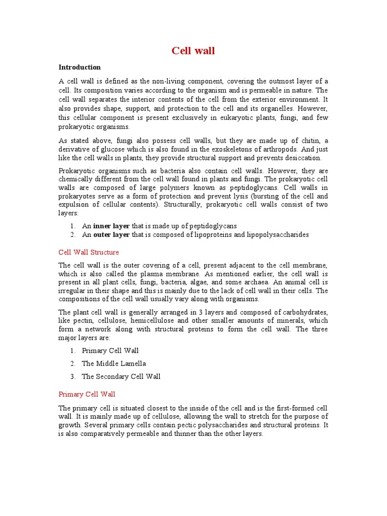 Cell (biology) visual data 6