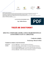 Teza Doctor At