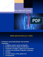 BMS2-K7 Spinal Cord Disease