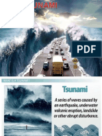 Tsunami