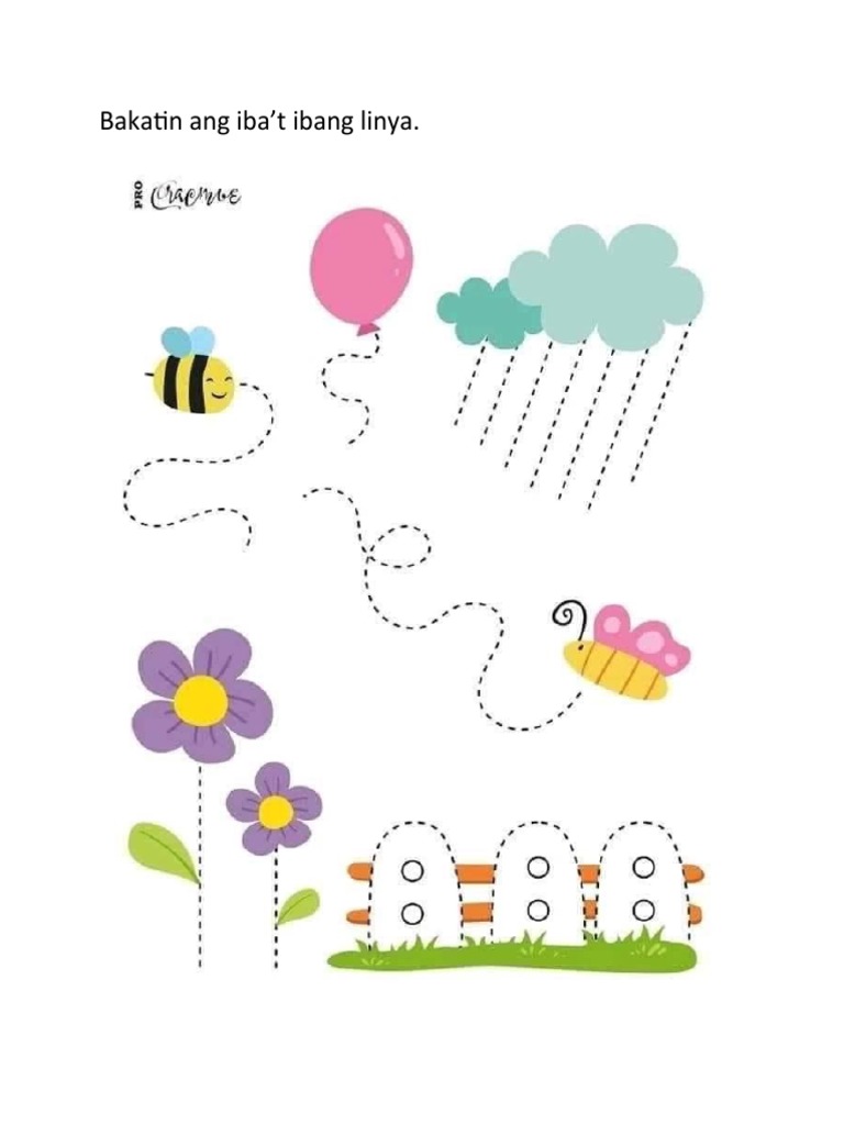 Activities | PDF