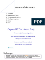 Chapter 1- Humans and Animals