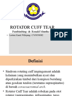 Rotator Cuff - Lestari