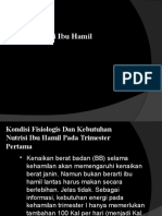 Kebutuhan Nutrisi Pada Ibu Hamil