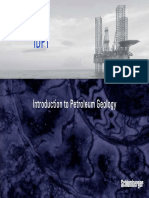 003 IPM-IDPT-Petroleum Geology