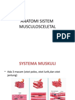Pratikum ANATOMI SISTEM Muskuloskletal-1