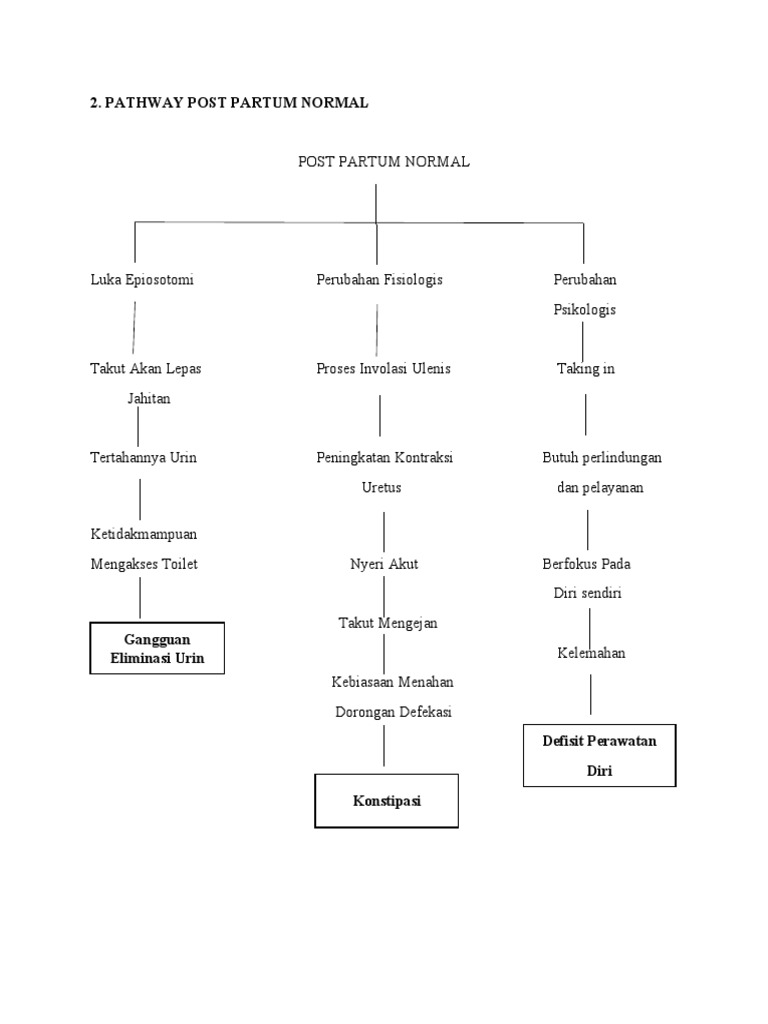 Pathway Post Partum Normal dan Perawatannya | PDF | Pengembangan Diri