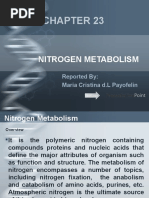 Nitrogen Metabolism: Reported By: Maria Cristina D.L Payofelin