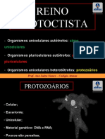 Protozoários