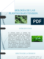 Fisiología de Las Plantas Bajo Tension