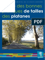 20151212-Guide-Taille - Des-Platanes