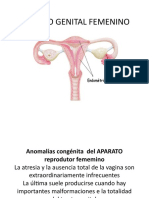 Patologias Del Tracto Genital Femenino