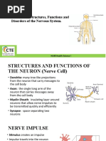 3.03 Understand Structures, Functions and Disorders of The Nervous System