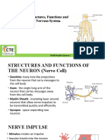 3.03 Understand Structures, Functions and Disorders of The Nervous System