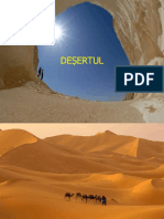 Desertul!!