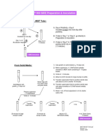 MGIT™ 960 SIRE Preparation & Inoculation: From A Positive 7 ML MGIT Tube