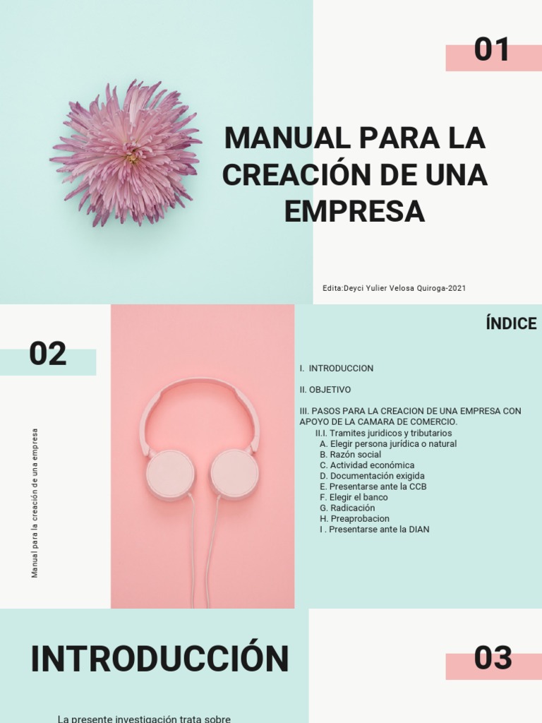 Manual para La Creacion de Una Empresa | PDF | Empresas | Business