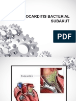 Endokarditis Bakterial