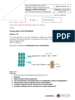 Taller Metabolismo de Los Carbihidratos.