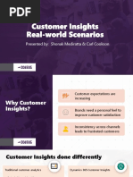 D365UG Customer Insights