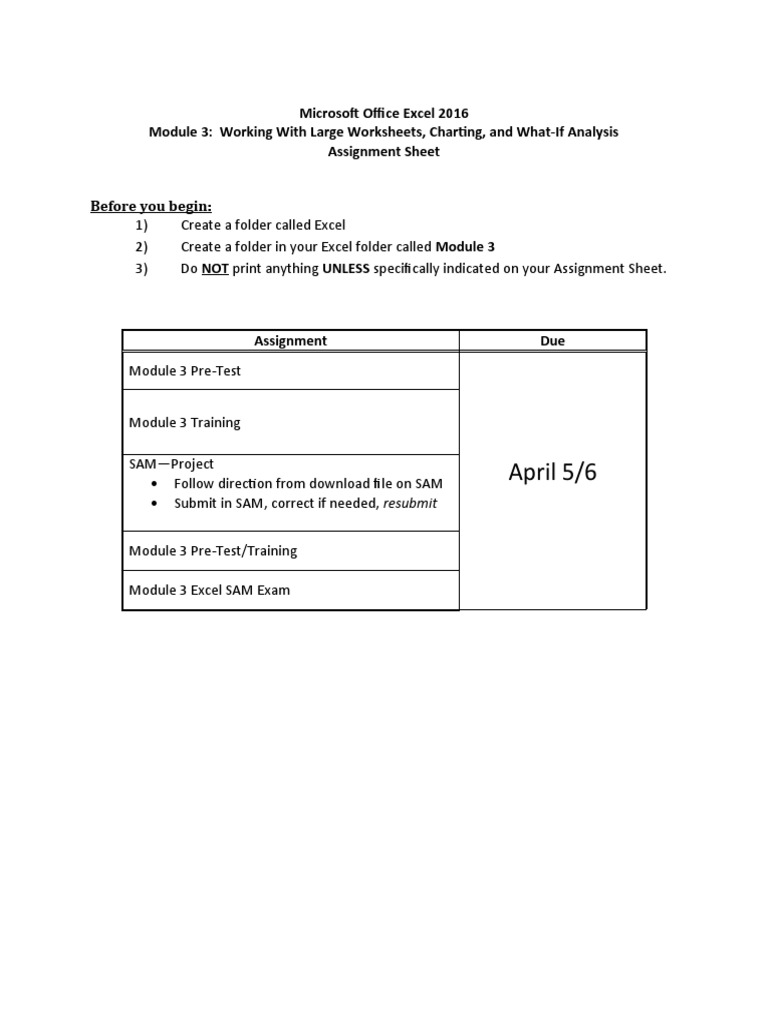 Excel 3 Assignment Sheet | PDF