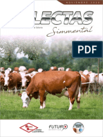 Catalogo Simmental 2020