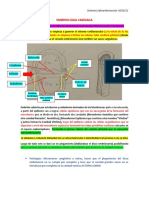 Embriologia Cardiaca