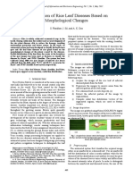 Classification of Rice Leaf Diseases Based On Morphological Changes