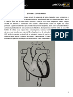 Apostila - Anatomia - Sistema Circulatório