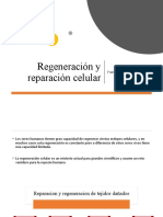 Regeneración y Reparación Celular