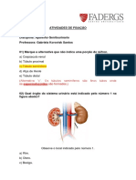 Sistema Genitourinário - Atividades de Fixação