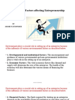 Environmental Factors Affecting Entrepreneurship (1)