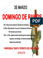 Domingo de Ramos ST 2021