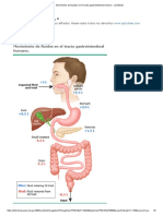 Fig 1. Movimiento de Líquidos en El Tracto Gastrointestinal Humano - UpToDate
