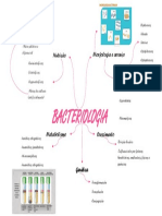 Mapa Mental de Bacteriologia