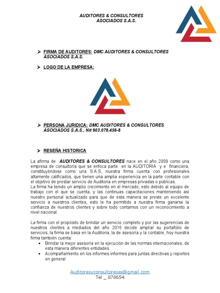 Papeles de Trabajo Firma de Auditores | PDF | Contador | Auditoría