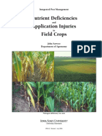 Nutrient deficiencies in corn