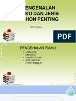 POHON PENTING