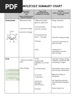 Macromolecule Functions and Comparisons | PDF | Macromolecules ...